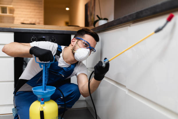 Trusted Hurstbourne Acres, KY Pest Control Experts