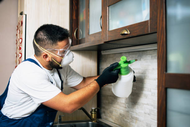 Best Termite Control Services  in Hurstbourne Acres, KY