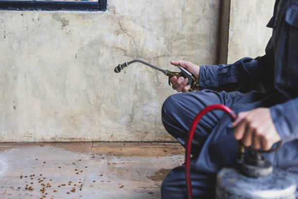 Best Flea Control Services  in Hurstbourne Acres, KY