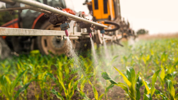 Best Best Pest Control Companies  in Hurstbourne Acres, KY